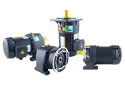 Small AC Gear Motor