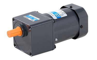 90mm 60W Induction Motor