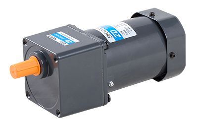 90mm 120W Induction Motor