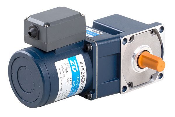 Induction Motor