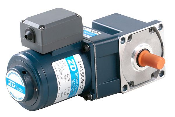 Speed Control Motor