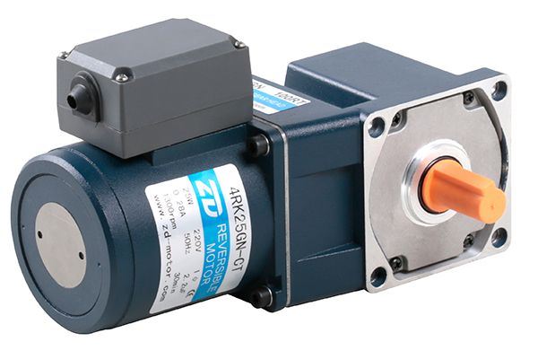 Reversible Motor