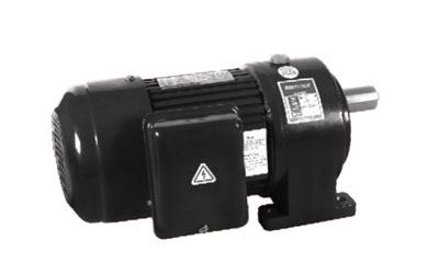 100W/750W Small AC Gear Motor