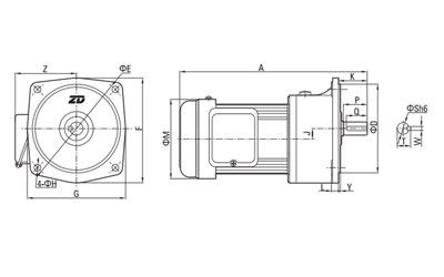 100W/750W Small AC Gear Motor