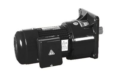 100W/750W Small AC Gear Motor