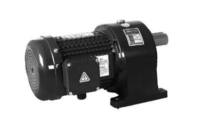 100W/750W Small AC Gear Motor