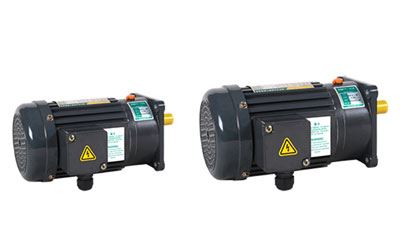 100W-750W Small AC Gear Motor