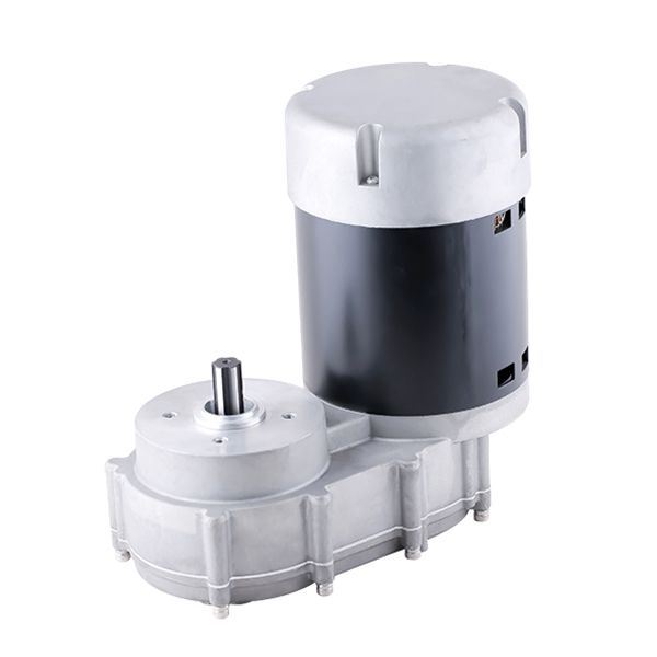 Ice-making machine motors