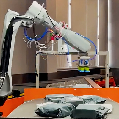 Industrial Robot