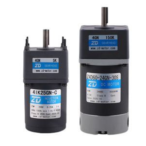 AC Gear Motor